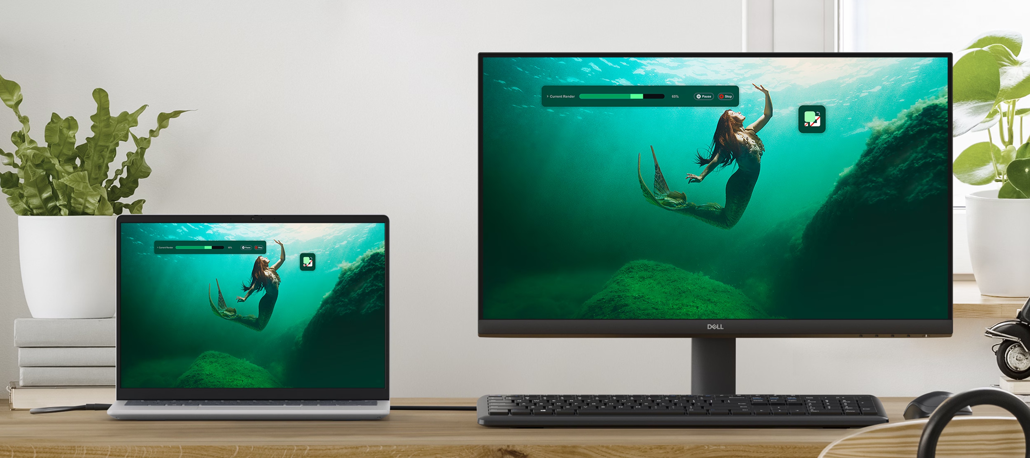 obrázek monitor Dell 24 SE2425HM propojení s notebookem